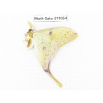Actias sinensis. China, Guizhou, Qiandongnan, Congjiang county. 1Pcs. Moth-Satu-211054.