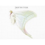 Saturniidae sp. China, Guizhou, Qiandongnan, Rongjiang county. 1Pcs. Moth-Satu-212326.
