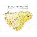 Saturniidae sp. China, Guizhou, Qiandongnan, Rongjiang county. 1Pcs. Moth-Satu-212371.