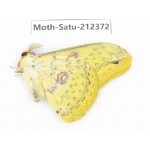 Saturniidae sp. China, Guizhou, Qiandongnan, Rongjiang county. 1Pcs. Moth-Satu-212372.