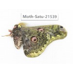 Caligula anna ssp. China, Yunnan, Wenshan, Maguan county. 1M. Moth-Satu-21539.