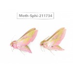 Sphingidae sp. China, Heilongjiang, Mudanjiang. 2Pcs. Moth-Sphi-211734.