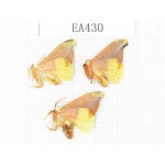 Moths sp. China, Tibet, Linzhi, Bomi county. 3Pcs. EA430.