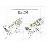 Moths sp. China, Tibet, Linzhi, Bomi county. 2Pcs. EA436.