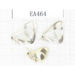 Geometridae sp. China, Tibet, Linzhi, Bomi county. 3Pcs. EA464.