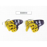 Day flying moths sp. China, S of Yunnan, Xishuangbanna, Mengla county. 2Pcs. EA0850.