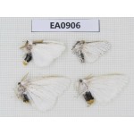 Moths sp. China,  Tibet, Linzhi, Bomi county. 4Pcs. EA0906.