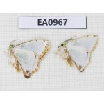 Geometridae sp. China, Tibet, Linzhi, Motuo county. 2Pcs. EA0967.