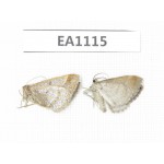 Moths sp. China, S of Gansu, Xiahe county. 2Pcs. EA1115.
