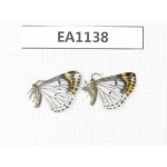 Day flying moths sp. China, Yunnan, Xiangerila, Mt.Xiaoxueshan. 2Pcs. EA1138.