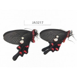 Byasa rhadinus. China, W of Yunnan, Dali, S of Mt.Cangshan. 2M. JA3217.
