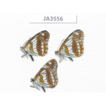 Limenitis homeyeri. China, Yunnan, Xiangerila, Mt.Xiaoxueshan. 3M. JA3556.