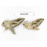 Sphingidae sp. China, Yunnan, Dali, Yangbi county, S of Mt.Cangshan.2Pcs. JA4336.