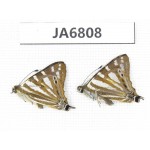 Dodona eugenes. China, Yunnan, Dali area, Fengyi town. 2M. JA6808.