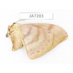 Saturniidae sp. China, Heilongjiang, Jiamusi.1F. JA7203.