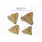 Dodona durga & Dodona dipoea. China, W of Sichuan,Yajiang county. 4M. MA9474.