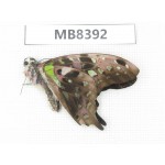 Graphium agamemnon ssp. China, Guangxi, Baise, Pingguo county. 2M.MB8392.