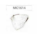 Curetis acuta. China, Tibet, Linzhi, Motuo county. 1M. MC1614.