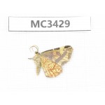 Day flying moths sp. China, W Sichuan, Ganzi area, Kangding. 1Pcs. MC3429.