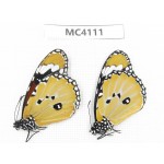 Danaus chrysippus. China, Yunnan, Kunming, Dongchuan. 2M. MC4111.