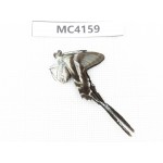 Lamproptera curius ssp. China, Guangxi, Baise, Mt.Cenwanglaoshan. 1M. MC4159.