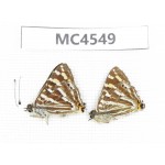 Dodona durga. China, Yunnan, Xiangerila, Mt.Meilixueshan. 2M. MC4549.