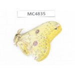 Saturniidae sp. China, SE of Guizhou, Mt.Leigongshan. 1Pcs. MC4835.