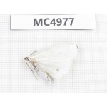 Arctiidae sp. China, W of Yunnan, Dali area, Yangbi county, S of Mt.Cangshan. 1Pcs. MC4977.