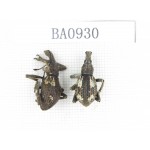Curculionidae sp. Indonesia, W of Papua, Yapen Is. 2Pcs. BA0930.