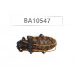 Cerambycidae sp. China, Yunnan, Yuxi, Xinping county. 1Pcs. BA10547.