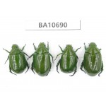 Rutelidae sp. China, Yunnan, Dehong, Yingjiang county. 4Pcs. BA10690.
