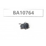 Geotrupidae sp. China, Tibet, Linzhi, Bomi county. 1Pcs. BA10764.