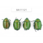 Rutelidae sp. China, Guizhou, Qiandongnan, Rongjiang county. 4Pcs. BA11121.