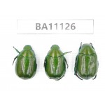 Rutelidae sp. China, Guizhou, Qiandongnan, Rongjiang county. 3Pcs. BA11126.