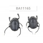 Geotrupidae sp. China, Guizhou, Tongren, Mt.Fanjingshan.2Pcs. BA11165.