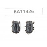 Geotrupidae sp. China, Yunnan, Dehong, Longchuan county. 2Pcs. BA11426.