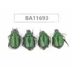 Rutelidae sp. China, Yunnan, Nujiang,  Fugong county. 4Pcs. BA11693.