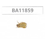 Rutelidae sp. China, Guizhou, Qiandongnan, Rongjiang county. 1Pcs. BA11859.