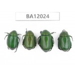 Rutelidae sp. China, Guangxi, Guilin, Mt.Maoershan. 4Pcs. BA12024.
