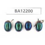 Chrysomelidae sp. China, Guizhou, Qiandongnan area, Mt.Leigongshan. 4Pcs. BA12200.