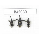 Curculionidae sp. Indonesia, Yapen Island. 3Pcs. BA2039.