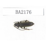 Cerambycidae sp. China, Tibet, Linzhi, Bomi county. 1Pcs. BA2176.