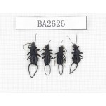 Dermaptera sp. China, Tibet, Linzhi, Bomi county. 4Pcs. BA2626.