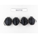 Geotrupidae sp. China, Guizhou, Tongren, Mt.Fanjingshan. 4Pcs. BA3739.