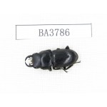 Dorcus sp. Myanmar, Kechin, Nanse. 1M. BA3786.