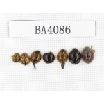 Coleoptera sp. China, Yunnan, Nujiang, N of Mt.Biluoxueshan. 7Pcs. BA4086.