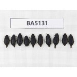 Tenebrionidae sp. China, Tibet, Linzhi, Bomi county. 10Pcs. BA5131.