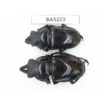 Neolucanus sp. China, Yunnan, Honghe, Jinping county. 2M. BA5223.