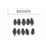 Tenebrionidae sp. China, Tibet, Linzhi, Bomi county. 10Pcs. BA5609.