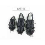Dorcus sp. China, Guizhou, Qiandongnan, Mt.Leigongshan. 3M. BA5742.